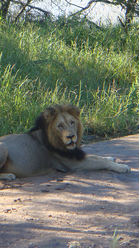 Thornybush-Feb-2009-27